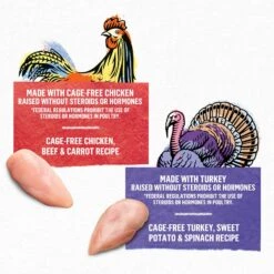 Purina Beyond Chicken & Turkey Variety Pack Wet Cat Food, 3-oz Can, Case Of 12 11 Purina Beyond Chicken & Turkey Variety Pack Wet Cat Food, 3-oz Can, Case Of 12 -Wellness Sales 297540 PT2. AC SS1800 V1699369644