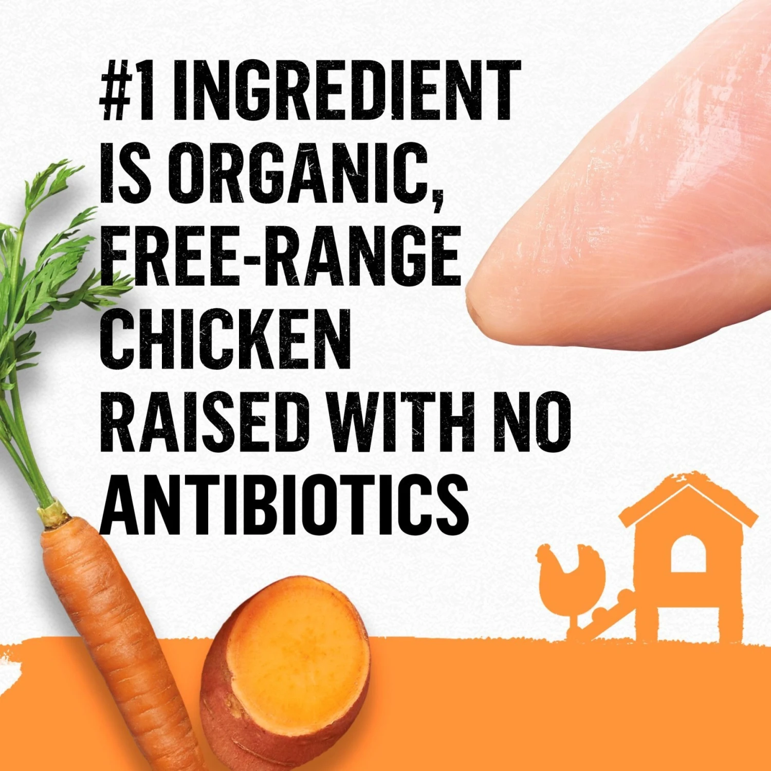 Purina Beyond Organic Chicken Variety Pack Pate Wet Cat Food, 3-oz Can, Case Of 6 5 Purina Beyond Organic Chicken Variety Pack Pate Wet Cat Food, 3-oz Can, Case Of 6 - Image 5