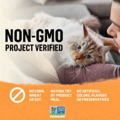 Purina Beyond Organic Chicken Variety Pack Pate Wet Cat Food, 3-oz Can, Case Of 6 16 Purina Beyond Organic Chicken Variety Pack Pate Wet Cat Food, 3-oz Can, Case Of 6 -Wellness Sales 297542 PT7. AC SS1800 V1700161787