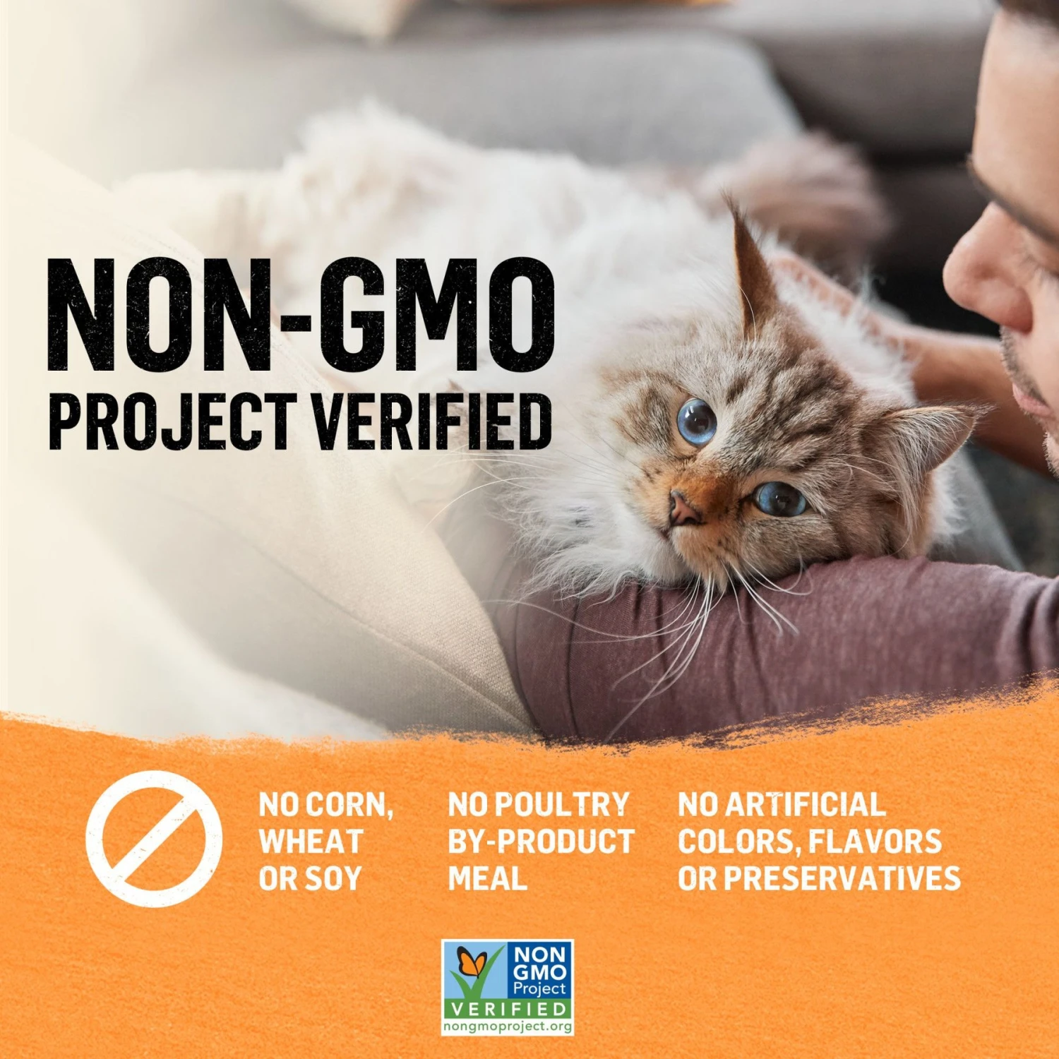 Purina Beyond Organic Chicken Variety Pack Pate Wet Cat Food, 3-oz Can, Case Of 6 8 Purina Beyond Organic Chicken Variety Pack Pate Wet Cat Food, 3-oz Can, Case Of 6 - Image 8