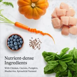 American Journey Kitten Chicken Recipe Grain-Free Dry Cat Food, 5-lb Bag & American Journey Kitten Pate Chicken Recipe Grain-Free Canned Cat Food, 3-oz, Case Of 24 -Wellness Sales 297738 PT8. AC SS1800 V1694613385