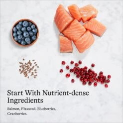 American Journey Pate Salmon Recipe Grain-Free Canned Cat Food, 3-oz Can, 24 Count & Wellness Complete Health Turkey & Salmon Formula Grain-Free Natural Canned Cat Food -Wellness Sales 297798 PT3. AC SS1800 V1694613384