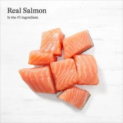 American Journey Pate Salmon Recipe Grain-Free Canned Cat Food, 3-oz Can, 24 Count & Wellness Complete Health Turkey & Salmon Formula Grain-Free Natural Canned Cat Food -Wellness Sales 297798 PT4. AC SS1800 V1694615893