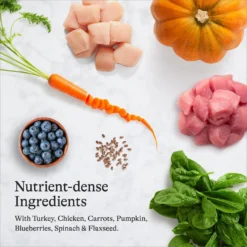 American Journey Turkey & Chicken Recipe Grain-Free Dry Cat Food & Blue Buffalo Wilderness Chicken Recipe Grain-Free Dry Cat Food 13 American Journey Turkey & Chicken Recipe Grain-Free Dry Cat Food & Blue Buffalo Wilderness Chicken Recipe Grain-Free Dry Cat Food -Wellness Sales 297822 PT4. AC SS1800 V1694611530