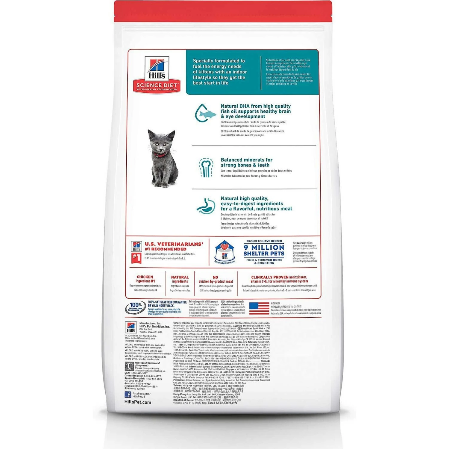 Hill's Science Diet Kitten Healthy Cuisine Tender Chicken & Rice Medley Canned Cat Food & Hill's Science Diet Indoor Kitten Dry Cat Food 6 Hill's Science Diet Kitten Healthy Cuisine Tender Chicken & Rice Medley Canned Cat Food & Hill's Science Diet Indoor Kitten Dry Cat Food - Image 6