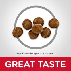Hill's Science Diet Kitten Healthy Cuisine Tender Chicken & Rice Medley Canned Cat Food & Hill's Science Diet Indoor Kitten Dry Cat Food 13 Hill's Science Diet Kitten Healthy Cuisine Tender Chicken & Rice Medley Canned Cat Food & Hill's Science Diet Indoor Kitten Dry Cat Food -Wellness Sales 298098 PT6. AC SS1800 V1621287765