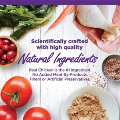 Wellness Complete Health Kitten Chicken Entree Recipe Natural Canned Cat Food & Wellness Complete Health Natural Grain-Free Deboned Chicken & Chicken Meal Dry Kitten Food 10 Wellness Complete Health Kitten Chicken Entree Recipe Natural Canned Cat Food & Wellness Complete Health Natural Grain-Free Deboned Chicken & Chicken Meal Dry Kitten Food -Wellness Sales 298660 PT2. AC SS1800 V1621990640