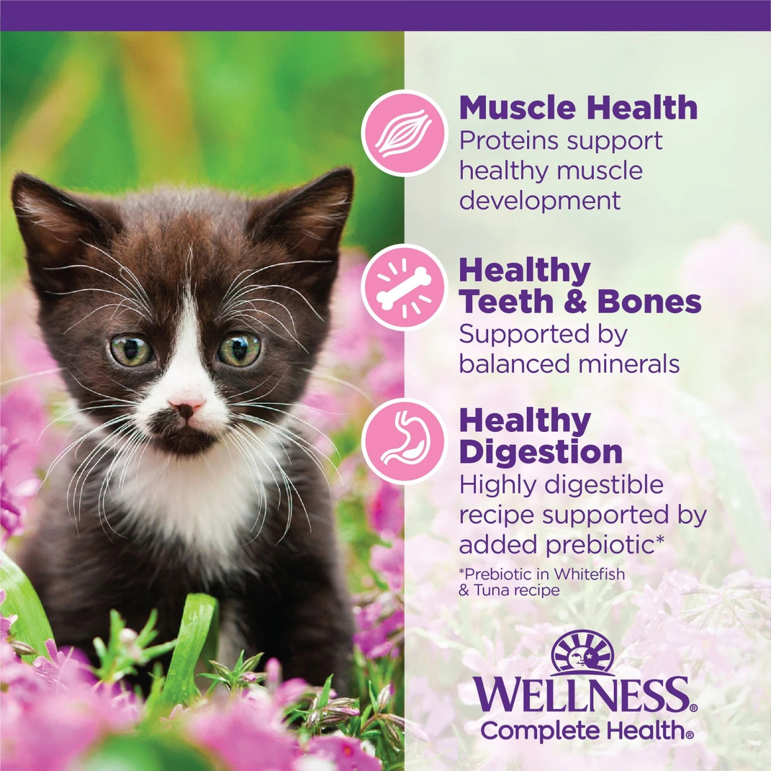 Wellness Complete Health Kitten Chicken Entree Recipe Natural Canned Cat Food & Wellness Complete Health Natural Grain-Free Deboned Chicken & Chicken Meal Dry Kitten Food 5 Wellness Complete Health Kitten Chicken Entree Recipe Natural Canned Cat Food & Wellness Complete Health Natural Grain-Free Deboned Chicken & Chicken Meal Dry Kitten Food - Image 5