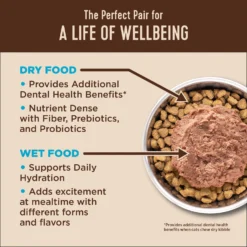 Wellness CORE Natural Grain-Free Turkey & Chicken Liver Pate Canned Kitten Food & Wellness CORE Grain-Free Salmon, Whitefish & Herring Pate Canned Kitten & Cat Food -Wellness Sales 298714 PT7. AC SS1800 V1621985912