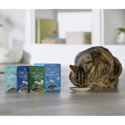 Tiny Tiger, Lickables, Variety Pack, Bisque Cat Treat & Topper 12 Tiny Tiger, Lickables, Variety Pack, Bisque Cat Treat & Topper -Wellness Sales 299262 PT4. AC SS1800 V1668549456