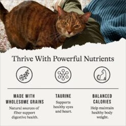 American Journey Indoor Cat Total Health Formula Chicken & Brown Rice Recipe Dry Cat Food, 15lb Bag 13 American Journey Indoor Cat Total Health Formula Chicken & Brown Rice Recipe Dry Cat Food, 15lb Bag -Wellness Sales 299537 PT4. AC SS1800 V1668737352