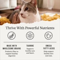 American Journey Sensitive Stomach Total Health Formula Chicken & Brown Rice Recipe Dry Cat Food, 15lb Bag -Wellness Sales 299542 PT4. AC SS1800 V1668737455