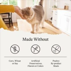 American Journey Sensitive Stomach Total Health Formula Chicken & Brown Rice Recipe Dry Cat Food, 15lb Bag -Wellness Sales 299542 PT6. AC SS1800 V1680787131