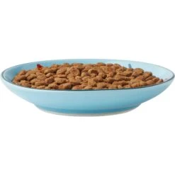 Frisco New York Non-skid Ceramic Cat Dish & Frisco New York Non-skid Ceramic Cat Bowl -Wellness Sales 302488 PT2. AC SS1800 V1623059244
