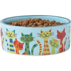 Frisco New York Non-skid Ceramic Cat Dish & Frisco New York Non-skid Ceramic Cat Bowl -Wellness Sales 302488 PT6. AC SS1800 V1623041543