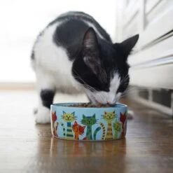 Frisco New York Non-skid Ceramic Cat Dish & Frisco New York Non-skid Ceramic Cat Bowl -Wellness Sales 302488 PT8. AC SS1800 V1623091056