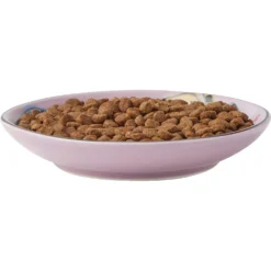 Frisco Paris Non-skid Ceramic Cat Dish & Frisco Paris Non-skid Ceramic Cat Dish -Wellness Sales 302490 PT2. AC SS1800 V1623058041