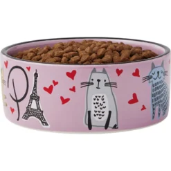 Frisco Paris Non-skid Ceramic Cat Dish & Frisco Paris Non-skid Ceramic Cat Dish -Wellness Sales 302490 PT6. AC SS1800 V1623067060