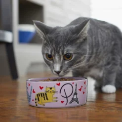 Frisco Paris Non-skid Ceramic Cat Dish & Frisco Paris Non-skid Ceramic Cat Dish -Wellness Sales 302490 PT8. AC SS1800 V1623043046