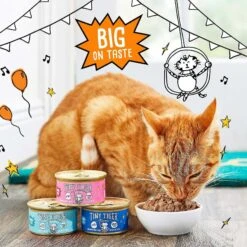 Tiny Tiger Chunks In EXTRA Gravy Seafood Recipes Variety Pack Grain-Free Canned Cat Food & Tiny Tiger Tuna Tidbits Flavor Filled Cat Treats -Wellness Sales 303744 PT2. AC SS1800 V1623056859