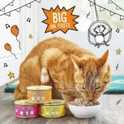 Tiny Tiger Pate Chicken Recipe Grain-Free Canned Cat Food & Tiny Tiger Crunchy Bunch, Fearless Feathers & Gracious Gills, Chicken & Seafood Flavor Cat Treats -Wellness Sales 303756 PT2. AC SS1800 V1623073960