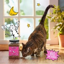 Tiny Tiger Pate Chicken Recipe Grain-Free Canned Cat Food & Tiny Tiger Crunchy Bunch, Fearless Feathers & Gracious Gills, Chicken & Seafood Flavor Cat Treats -Wellness Sales 303756 PT7. AC SS1800 V1623066746