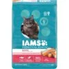 Iams ProActive Health Adult Indoor Weight & Hairball Care With Salmon Dry Cat Food