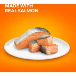 Iams ProActive Health Adult Indoor Weight & Hairball Care With Salmon Dry Cat Food -Wellness Sales 311438 PT3. AC SS1800 V1677256424