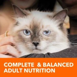 Iams ProActive Health Adult Indoor Weight & Hairball Care With Salmon Dry Cat Food -Wellness Sales 311438 PT7. AC SS1800 V1677256362