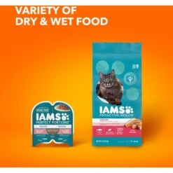 Iams ProActive Health Adult Indoor Weight & Hairball Care With Salmon Dry Cat Food -Wellness Sales 311438 PT8. AC SS1800 V1677256392