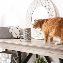 Bone Dry Ceramic Meow Cat Treat Canister -Wellness Sales 313400 PT4. AC SS1800 V1631765581