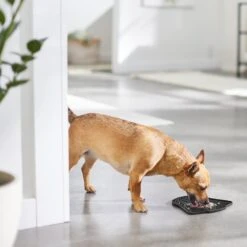 STAR WARS DARTH VADER Silicone Dog & Cat Lick Mat -Wellness Sales 315335 PT2. AC SS1800 V1647281635