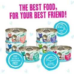 Weruva B.F.F. PLAY Best Feline Friend Pate Lovers, Aw Yeah! Blue Pate Buffet Variety Pack Wet Cat Food -Wellness Sales 315733 PT4. AC SS1800 V1682627568