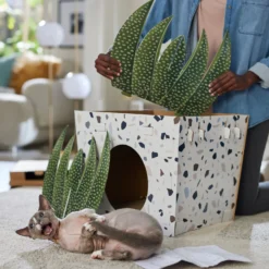 Frisco Potted Succulent Cardboard Cat House -Wellness Sales 317723 PT3. AC SS1800 V1688677248