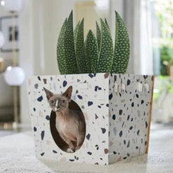 Frisco Potted Succulent Cardboard Cat House -Wellness Sales 317723 PT4. AC SS1800 V1688677260