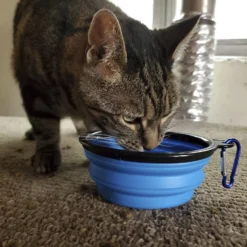 Mayday Emergency Dry Cat Food, 8-oz Bag 7 Mayday Emergency Dry Cat Food, 8-oz Bag -Wellness Sales 327467 PT4. AC SS1800 V1631641012