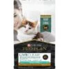 Purina Pro Plan LiveClear Kitten Chicken & Rice Formula Dry Cat Food