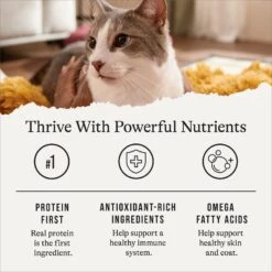 American Journey Senior Pate Chicken Recipe Canned Cat Food, 3-oz Can, Case Of 24 -Wellness Sales 330851 PT5. AC SS1800 V1691614423