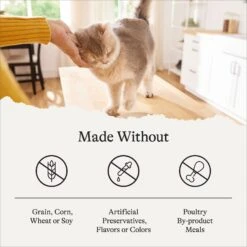 American Journey Senior Pate Chicken Recipe Canned Cat Food, 3-oz Can, Case Of 24 -Wellness Sales 330851 PT7. AC SS1800 V1691614425