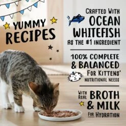 Tiny Tiger, Kitten Classic, Ocean Whitefish Pate Recipe, Canned Cat Food -Wellness Sales 330994 PT3. AC SS1800 V1687283980