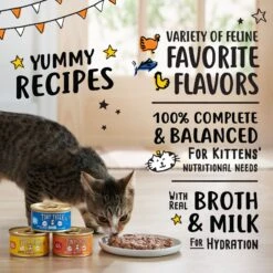 Tiny Tiger, Kitten Classic, Variety Pack, Whitefish & Poultry Pate Recipe, Canned Cat Food 8 Tiny Tiger, Kitten Classic, Variety Pack, Whitefish & Poultry Pate Recipe, Canned Cat Food -Wellness Sales 330998 PT3. AC SS1800 V1671733249