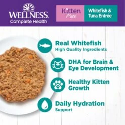 Wellness Complete Health Kitten Whitefish & Tuna Formula Grain-Free Canned Cat Food, Case Of 24 -Wellness Sales 333297 PT2. AC SS1800 V1690904623