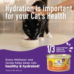 Wellness Complete Health Kitten Whitefish & Tuna Formula Grain-Free Canned Cat Food, Case Of 24 -Wellness Sales 333297 PT3. AC SS1800 V1690904621