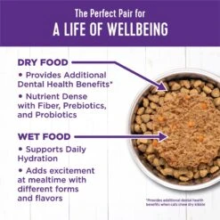 Wellness Complete Health Kitten Whitefish & Tuna Formula Grain-Free Canned Cat Food, Case Of 24 -Wellness Sales 333297 PT5. AC SS1800 V1690904618