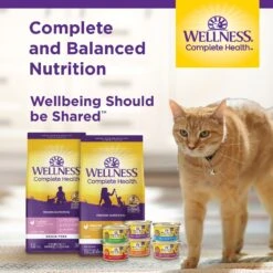 Wellness Complete Health Kitten Whitefish & Tuna Formula Grain-Free Canned Cat Food, Case Of 24 -Wellness Sales 333297 PT7. AC SS1800 V1690904614