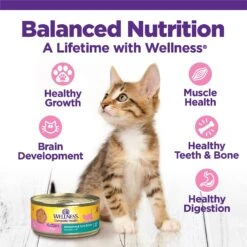 Wellness Complete Health Kitten Variety Pack Grain-Free Canned Cat Food, 3-oz, Case Of 12 11 Wellness Complete Health Kitten Variety Pack Grain-Free Canned Cat Food, 3-oz, Case Of 12 -Wellness Sales 333302 PT2. AC SS1800 V1636755409