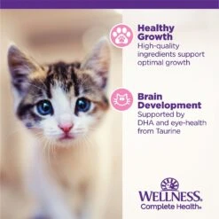 Wellness Complete Health Kitten Variety Pack Grain-Free Canned Cat Food, 3-oz, Case Of 12 12 Wellness Complete Health Kitten Variety Pack Grain-Free Canned Cat Food, 3-oz, Case Of 12 -Wellness Sales 333302 PT3. AC SS1800 V1636754487