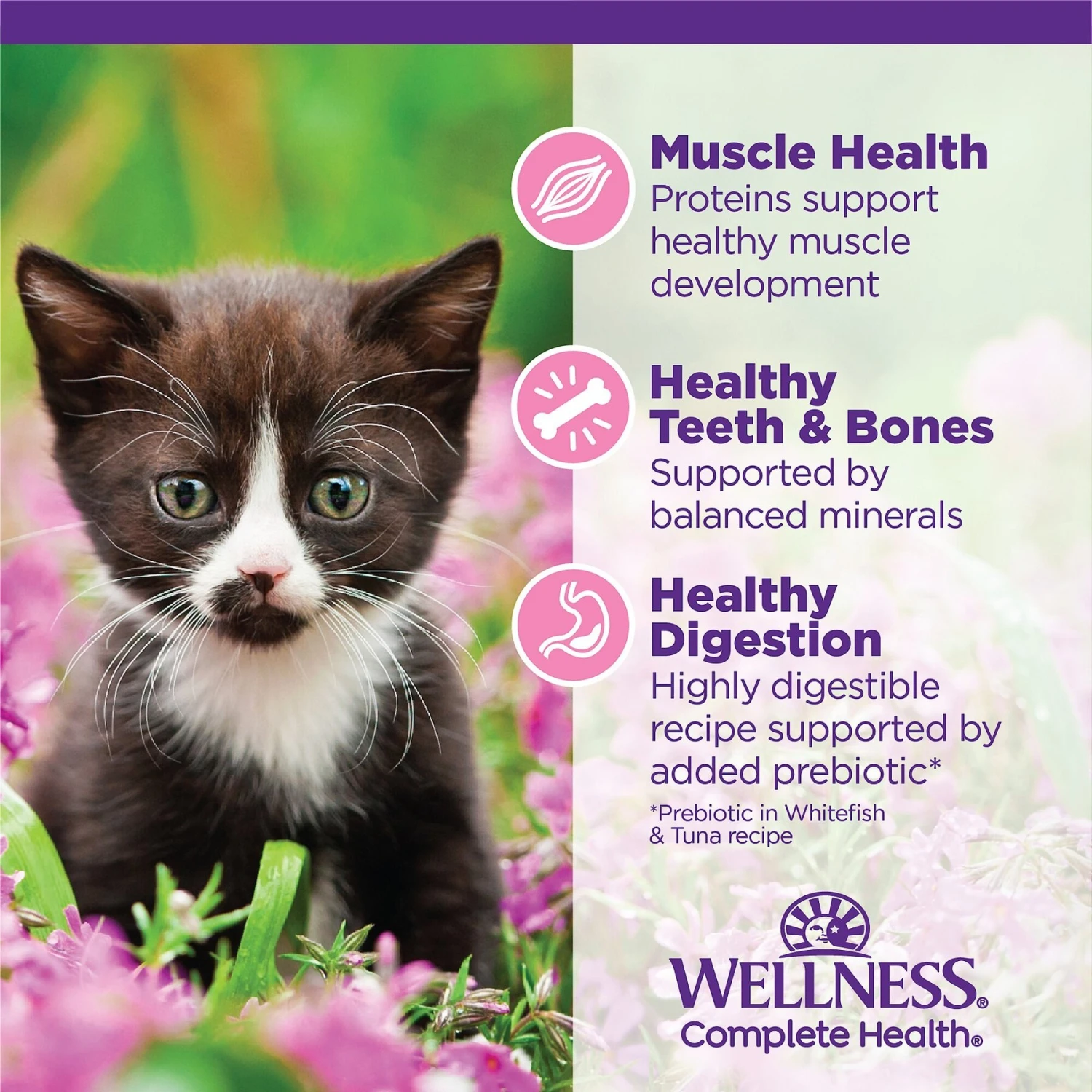 Wellness Complete Health Kitten Variety Pack Grain-Free Canned Cat Food, 3-oz, Case Of 12 5 Wellness Complete Health Kitten Variety Pack Grain-Free Canned Cat Food, 3-oz, Case Of 12 - Image 5
