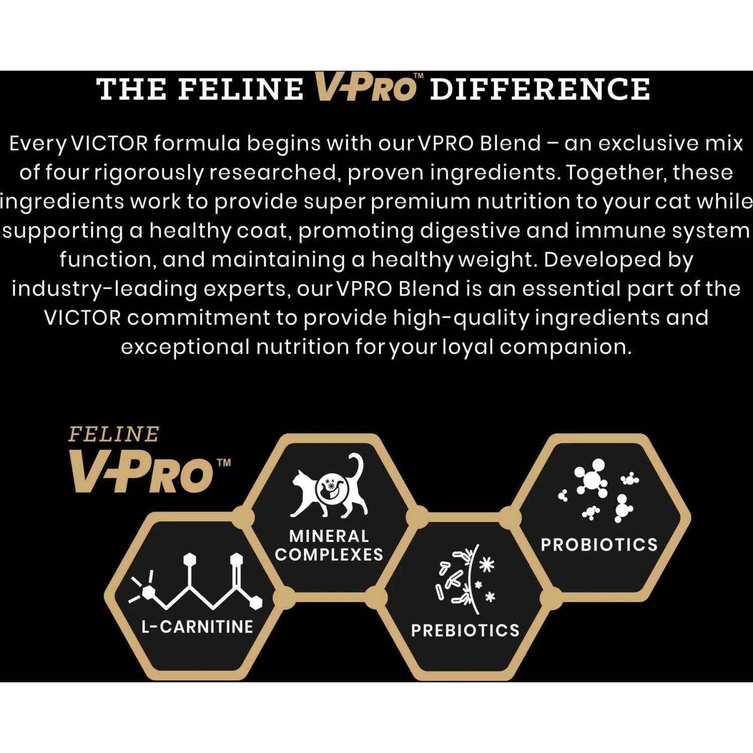 VICTOR Fit Feline Indoor Grain-Free Chicken Meal & Duck Meal Recipe Dry Cat Food 3 VICTOR Fit Feline Indoor Grain-Free Chicken Meal & Duck Meal Recipe Dry Cat Food - Image 3