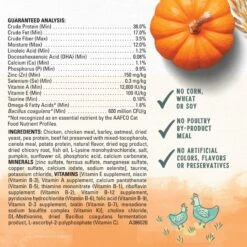 Purina Beyond Chicken & Oatmeal Recipe Dry Kitten Food -Wellness Sales 336842 PT4. AC SS1800 V1700160041